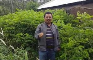 2000 Pohon Trembesi Siap Ditanami di Sektor 7