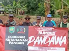 Dana Ketahanan Pangan Rp190 Juta Desa Majasari Dipertanyakan, Pengurus BUMDES: Terkendala Kekeringan Dan Belum Berhasil Panen