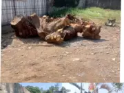 Konstruksi di Depan SMAN 15 Bandung Disorot, PBG dan Penebangan Pohon Jadi Perhatian
