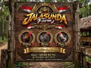 Jalasunda Farm, Dari Citerep Cinangsi untuk Menggerakkan Ekonomi dan Persahabatan Pecinta Ayam