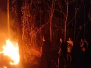 Kebakaran Lahan Perkebunan di Perbatasan Ciamis– Pangandaran, Polisi dan Warga Bahu-Membahu Padamkan Api