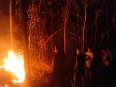 Kebakaran Lahan Perkebunan di Perbatasan Ciamis– Pangandaran, Polisi dan Warga Bahu-Membahu Padamkan Api